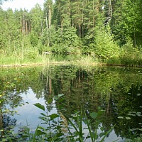 Карстовые озера Медведок 7...